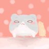 まめすけ's profile picture