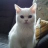 ありちゃん's profile picture
