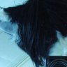 Profilbild von ニケ