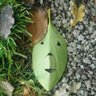 Bob Campbell's profile picture