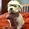 Profilbild von NaGoo