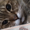 デジ profil fotoğrafı