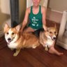 Profilbild von stubbie the corgi