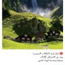 بافاريا الألمانية, أبو تميم 的头像