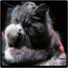 Jordy A.F's profile picture