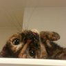えみ's profile picture