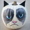 Italico's profile picture