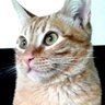 Profilbild von Felicity