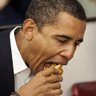 Profilbild von ObamaEatingChilidog