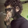 Marat Bayramov 的头像