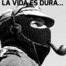 Subcomandante JOE™(edición Radio Macuto )'s profile picture