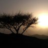Profilbild von ابو عبدالله