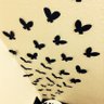كوثر غرايبة's profile picture