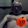 Jerry Wark profil fotoğrafı