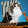 ☠☠CAT MAKING STRAWBERRY SORBET (ARCHIVE)☠☠'s profile picture