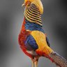 هدى خليفة profil fotoğrafı