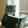 AGuzmeow's profile picture