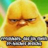 Bernd Fest's profile picture