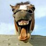 Profilbild von Horse Tales