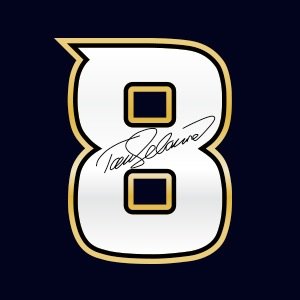 Teemu Selanne's profile picture