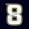 Teemu Selanne's profile picture