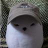 Profilbild von インコヘッド