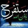 Фото профиля صقر اليمن