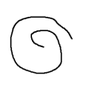rokh profil fotoğrafı
