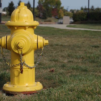 Hydrant43_1's profile picture
