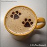СOFFE.КОТИКИ's profile picture