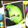7so sharaf profil fotoğrafı