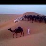 وارد العد's profile picture