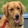 Profilbild von Dixie Lou