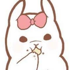 kikumaki00's profile picture