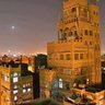 Yemen_bird's profile picture