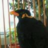 Profilbild von kana-bebe
