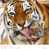 森山直火太朗 profil fotoğrafı