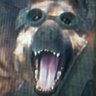 Profilbild von blank