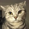 Profilbild von Bobbydylan