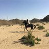 Фото профиля أبو خالد