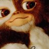 Profilbild von otoboke
