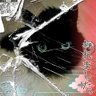 𝕂𝕀𝕋𝔸 𝕩 @某警備府減衰 #げんぜいかると's profile picture