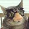 Federico Gimenez's profile picture
