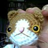 おばさんねこ profil fotoğrafı