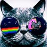 Rober LLC 🐢's profile picture