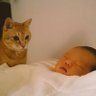 まずまずもとさん 的头像