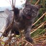 Jacek38 profil fotoğrafı