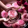 روح الورد profil fotoğrafı