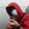 銀侍's profile picture