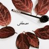 Фото профиля Mustafa POLAT